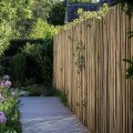 All You Need to Know About Natural Bamboo Fencing