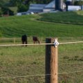 How to Choose the Right Electric Fence for Your Farm or Ranch