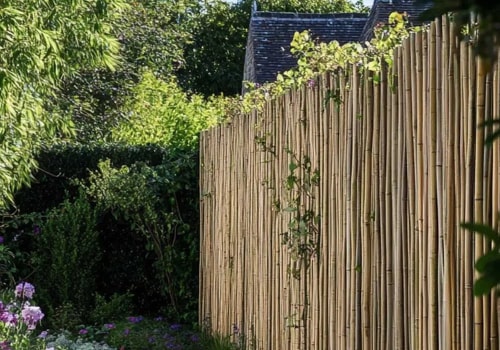 All You Need to Know About Natural Bamboo Fencing