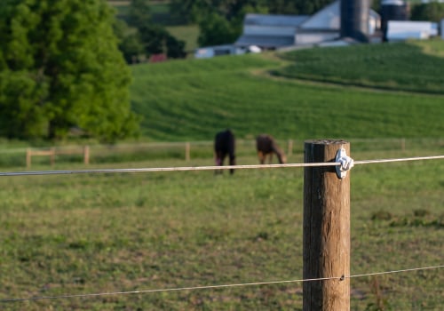 How to Choose the Right Electric Fence for Your Farm or Ranch